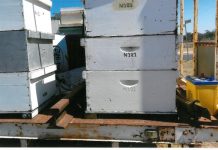 Info sought on low act