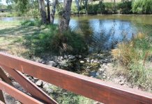 Tender called for ‘critical condition’ assessments