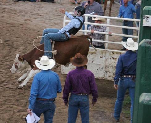 Rodeo program, parade, shuttle buses... | Warwick Today