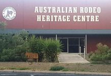 Council awards several contracts