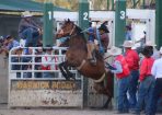 sftrodeo_145588_01.jpg