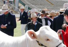 Ekka 2020 latest major event to be cancelled