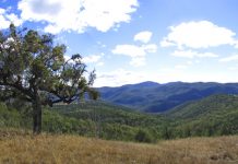 Planned burn within Sundown National Park this week