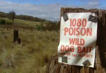 Appointment-only for 1080 baiting program: SDRC