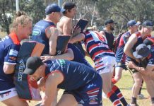 TRL makes the tough decision to cancel season