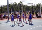 Nball_210041_01.jpg