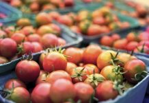 Have your say on National Ag Workforce Survey