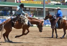 COVID-19 forces 2020 Rodeo cancellation