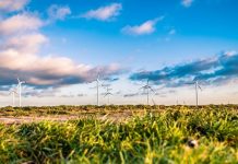 Wind farm not yet approved: Acciona