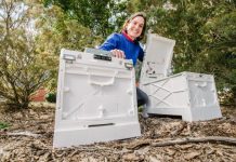 Bee biosecurity hits sweet spot