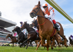 Jockey_200232_02.png