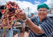 Apple & Grape Harvest Festival a national finalist
