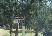 Trial of permit system: SDRC