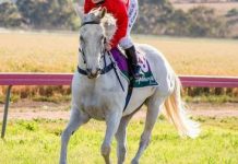 Back-to-back Cup wins for Dalby mare