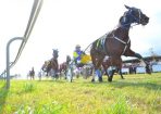 Trotters_222675_01.jpg