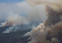 Warwick area men charged over Fraser Island bushfires