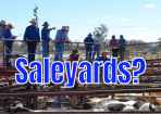 saleyards