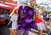 Locals needed for Apple and Grape 2022