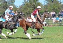 Morgan Park’s request for water denied