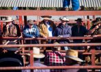 Saleyards_192079_01.jpg