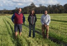 Festival volunteer steps into the spotlight