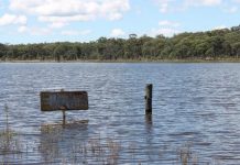 Leslie Dam nearly half full