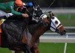 horserace_246252_01.jpg