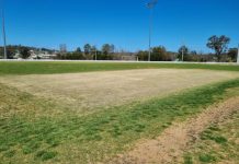 Stanthorpe Cricket appoints new team