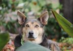 judy_248920_04.JPG