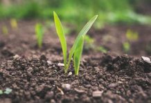 Regenerative agriculture: Charles Massy