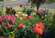 2021 garden competition