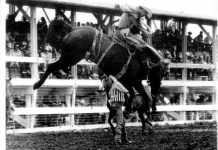 Queensland Cowboys to be inducted into Hall of Fame