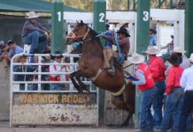 The Warwick Rodeo and Campdraft is back!