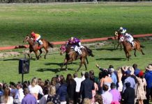Records tumble at 2021 Stanthorpe Cup race meeting