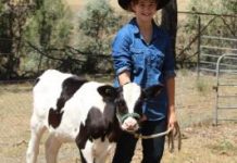 This week on the farm