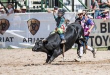 The kids of the rodeo