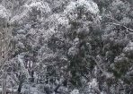 IceandSnow_241567_02.JPG
