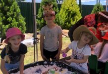 Christmas Tree Farm adventures