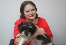 Annie the orphan dog