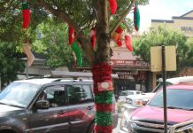 It’s beginning to look a lot like Christmas