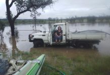 This week on the farm