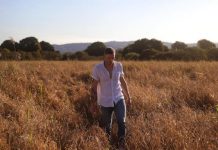 Beats and streets set for Stanthorpe NYE