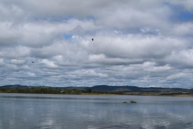 Leslie Dam a sight to see | Warwick Today