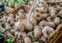 Delicious fried zucchini