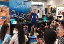 Free Holiday Activities