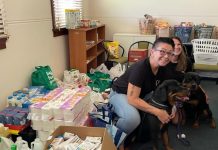 A dog help dog kinda world