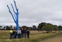 Blue tree continues to start conversations
