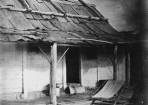1875_266137_02.png