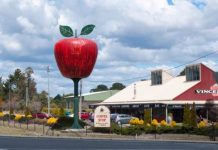 Our Year In Review: The Big Apple