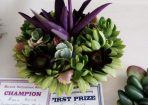 Flowshow_199300_01.jpg